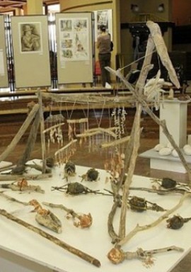 img-01