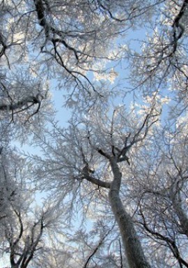 img-01